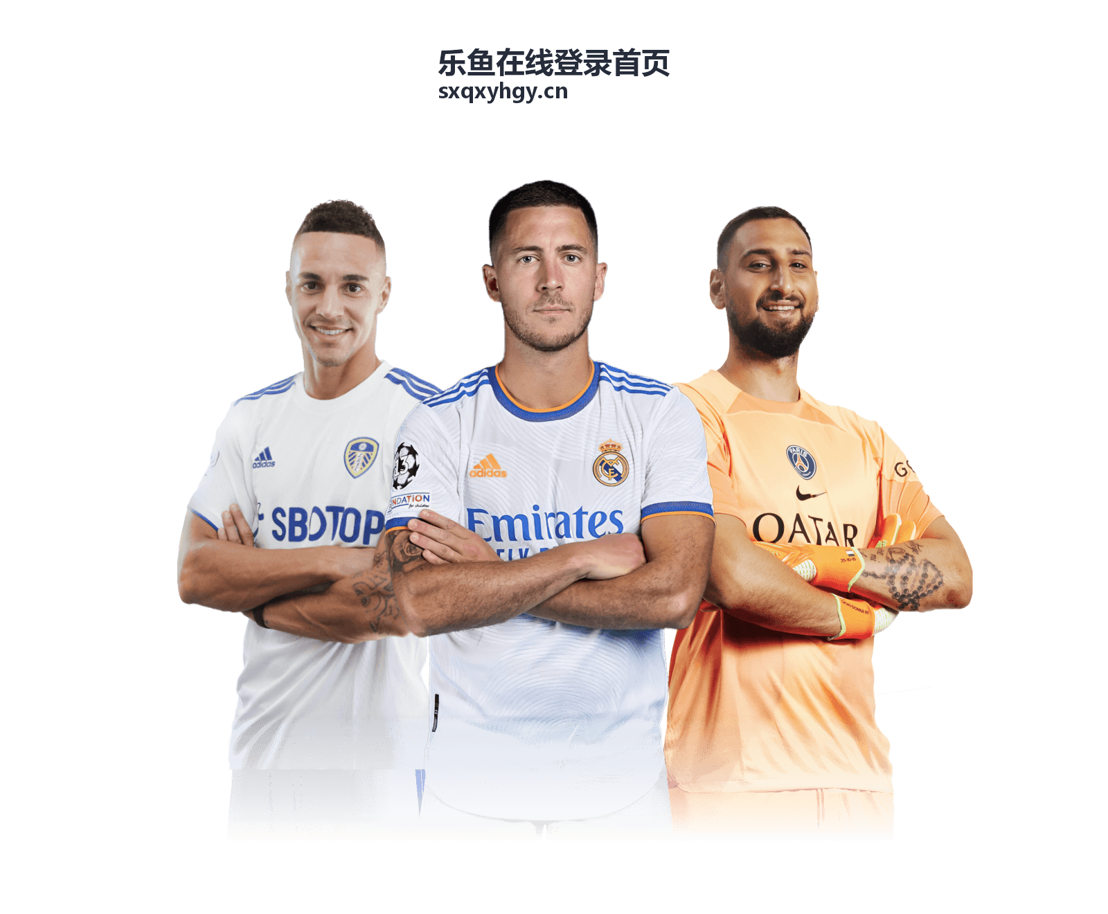 乐鱼在线登录首页核心功能概览