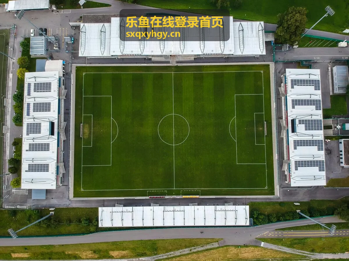 乐鱼在线登录首页账号安全建议
